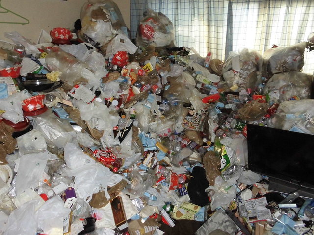 Navigating Cleaning Options: Services for Untidy Rooms in Setagaya Ward