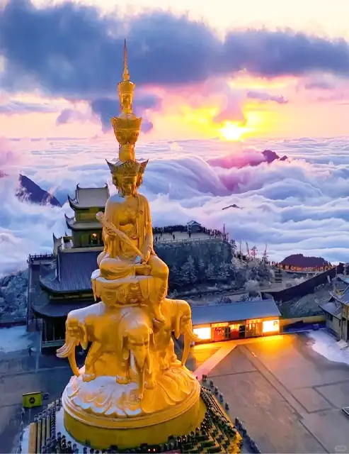 Essential Ingredients You Must Know for Chengdu Hot Pot